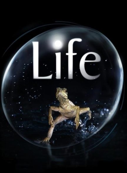 مستند زندگی