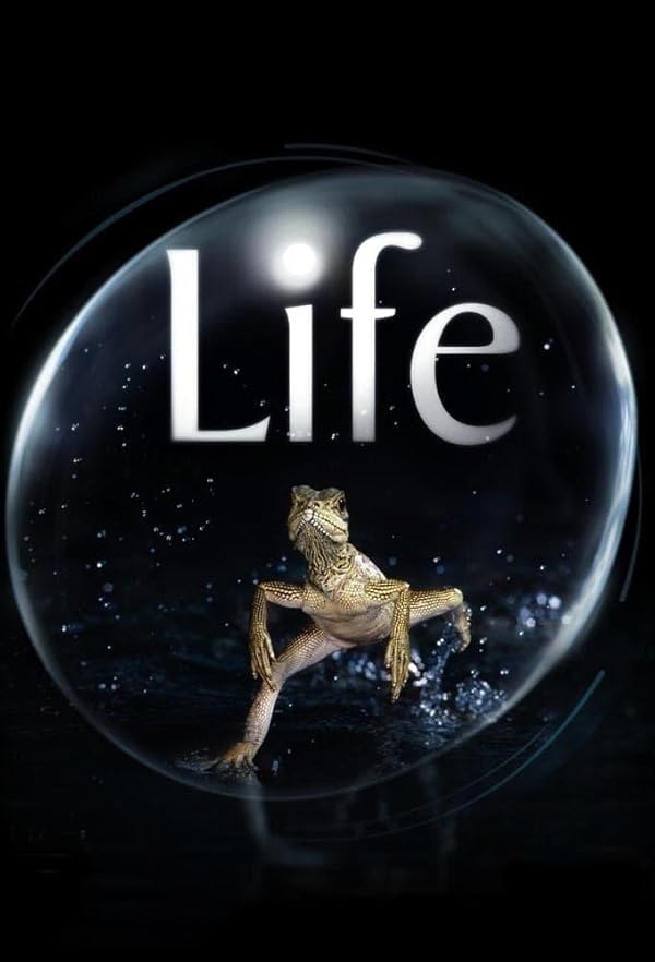 مستند زندگی